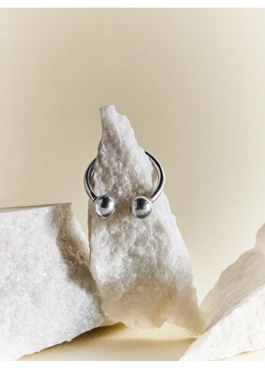 Product Image: SPICE SILVER