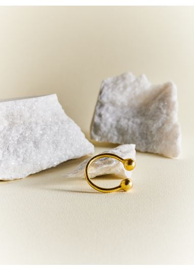 Product Image: SPICE GOLD