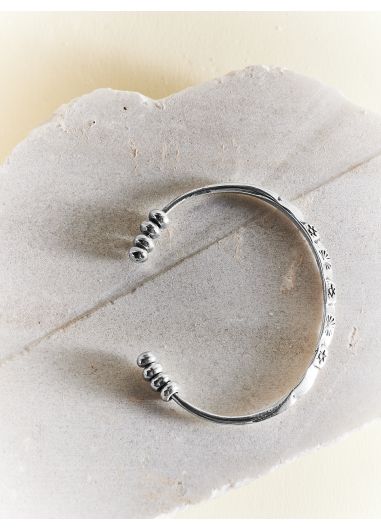 Product Image: SCENIC SILVER
